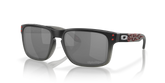 Holbrookâ„¢ Troy Lee Designs Series