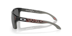 Holbrook™ Troy Lee Designs Series