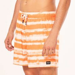 Blur Stripes Rc 16" Beachshort