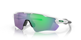 Radar® EV Path® Team Colors