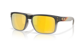 Holbrook™ Troy Lee Designs Series