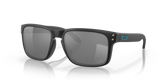 Detroit Lions Holbrook™