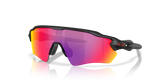 Radar® EV S Path