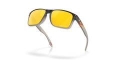Holbrook™ Troy Lee Designs Series