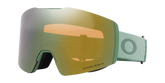 Fall Line M Snow Goggles