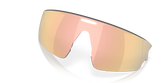 Oakley Meta Vanguard Replacement Lens