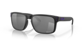 Minnesota Vikings Holbrook™