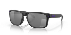 Minnesota Vikings Holbrook™