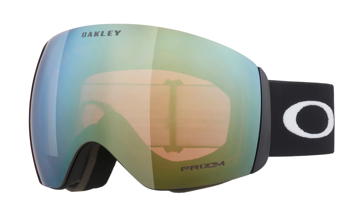 Flight Deck™ L Snow Goggles
