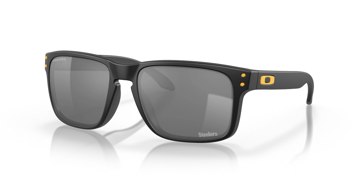Pittsburgh Steelers Holbrook™