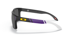Minnesota Vikings Holbrook™