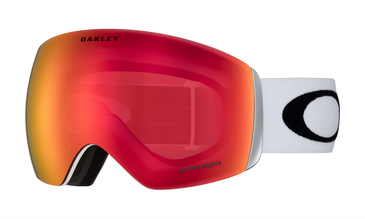 Flight Deck™ L Snow Goggles